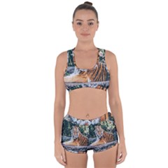 Animal Big Cat Safari Tiger Racerback Boyleg Bikini Set by Celenk