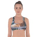 Animal Big Cat Safari Tiger Cross Back Sports Bra View1