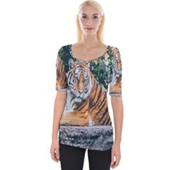 Animal Big Cat Safari Tiger Wide Neckline Tee