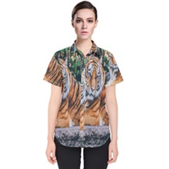 Animal Big Cat Safari Tiger Women s Short Sleeve Shirt