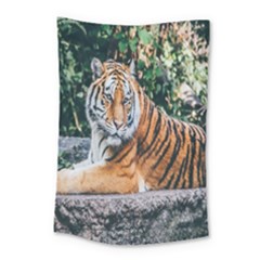 Animal Big Cat Safari Tiger Small Tapestry by Celenk