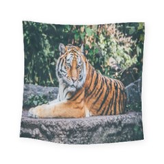 Animal Big Cat Safari Tiger Square Tapestry (small) by Celenk