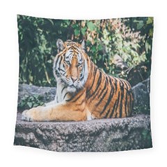 Animal Big Cat Safari Tiger Square Tapestry (large) by Celenk