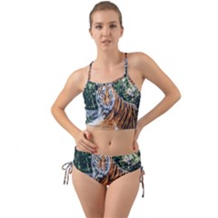 Animal Big Cat Safari Tiger Mini Tank Bikini Set by Celenk