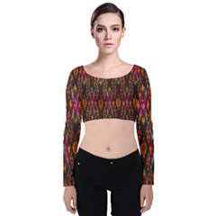 Thai Silk Velvet Long Sleeve Crop Top