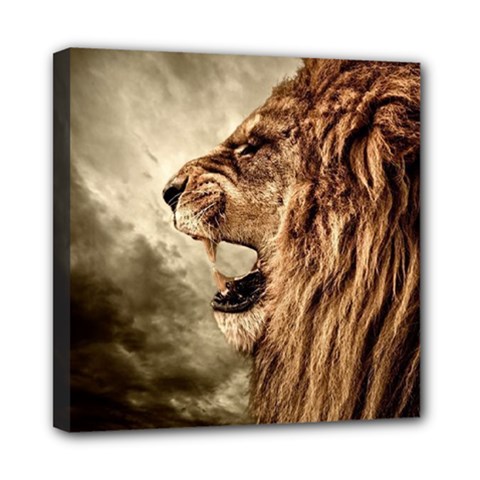 Roaring Lion Mini Canvas 8  X 8  by Celenk