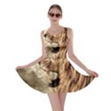 Roaring Lion Skater Dress View1