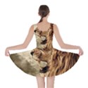 Roaring Lion Skater Dress View2