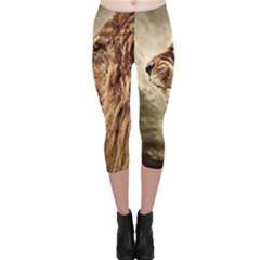 Roaring Lion Capri Leggings  by Celenk