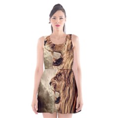 Roaring Lion Scoop Neck Skater Dress by Celenk