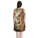 Roaring Lion Shoulder Cutout Velvet One Piece View2