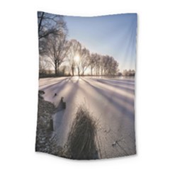 Winter Lake Cold Wintry Frozen Small Tapestry by Celenk