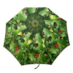 Christmas Season Floral Green Red Skimmia Flower Folding Umbrellas by yoursparklingshop