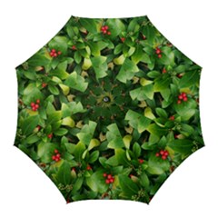 Christmas Season Floral Green Red Skimmia Flower Golf Umbrellas by yoursparklingshop