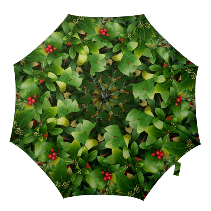 Christmas Season Floral Green Red Skimmia Flower Hook Handle Umbrellas (Large)