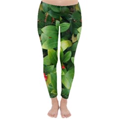 Christmas Season Floral Green Red Skimmia Flower Classic Winter Leggings by yoursparklingshop