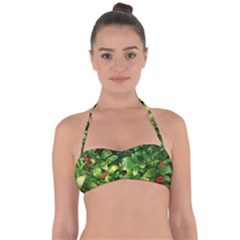 Christmas Season Floral Green Red Skimmia Flower Halter Bandeau Bikini Top by yoursparklingshop