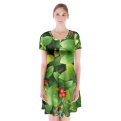 Christmas Season Floral Green Red Skimmia Flower Short Sleeve V-neck Flare Dress