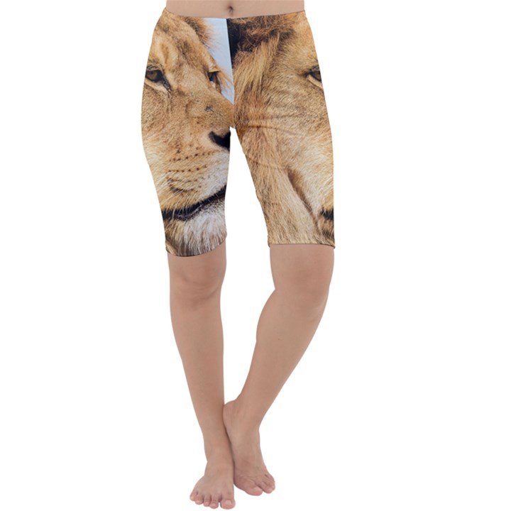 Big male lion looking right Cropped Leggings 