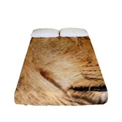 Big Male Lion Looking Right Fitted Sheet (full/ Double Size) by Ucco