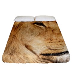 Big Male Lion Looking Right Fitted Sheet (queen Size) by Ucco