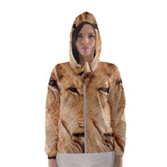 Big Male Lion Looking Right Hooded Wind Breaker (women) by Ucco