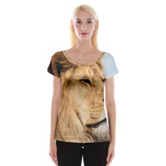 Big Male Lion Looking Right Cap Sleeve Tops