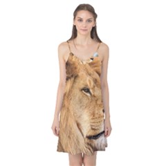 Big Male Lion Looking Right Camis Nightgown by Ucco