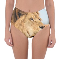 Big Male Lion Looking Right Reversible High-waist Bikini Bottoms by Ucco