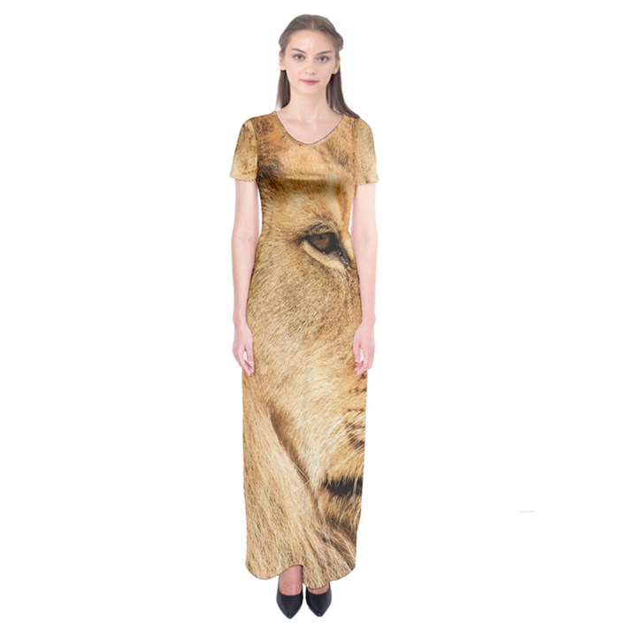 Big male lion looking right Short Sleeve Maxi Dress