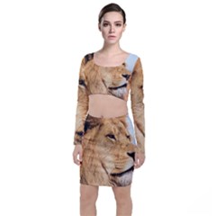 Big Male Lion Looking Right Long Sleeve Crop Top & Bodycon Skirt Set by Ucco