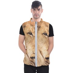 Big Male Lion Looking Right Men s Puffer Vest