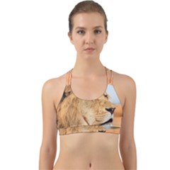 Big Male Lion Looking Right Back Web Sports Bra