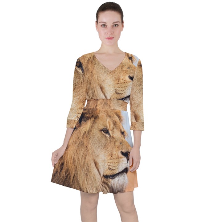 Big male lion looking right Ruffle Dress