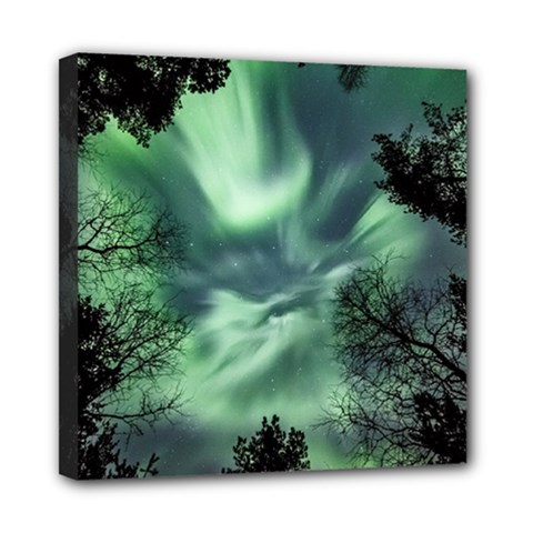 Northern Lights In The Forest Mini Canvas 8  X 8  by Ucco