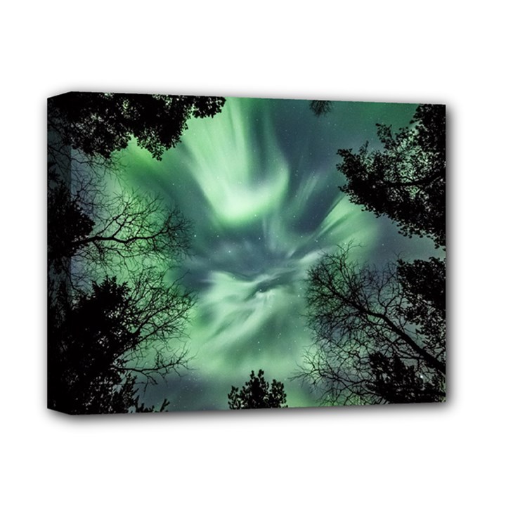 Northern lights in the forest Deluxe Canvas 14  x 11 