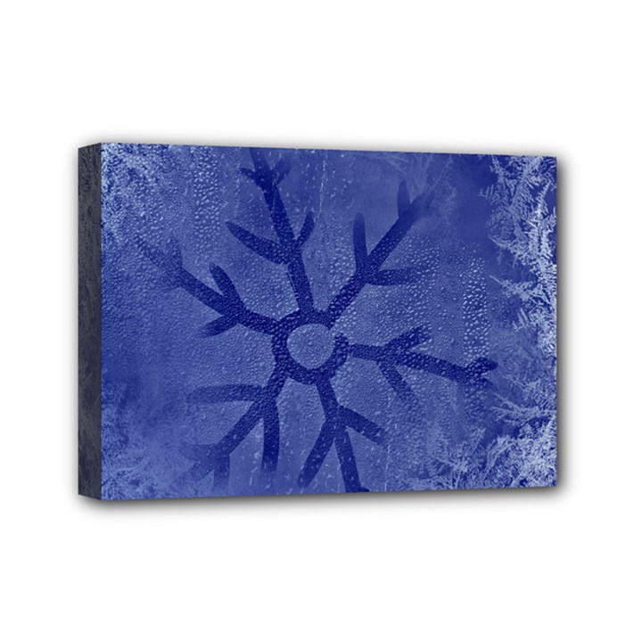 Winter Hardest Frost Cold Mini Canvas 7  x 5 