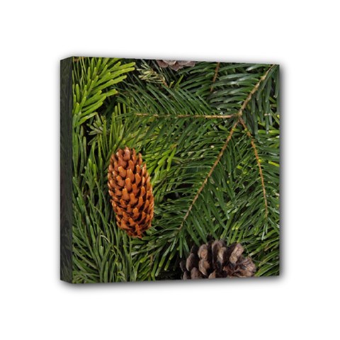 Branch Christmas Cone Evergreen Mini Canvas 4  X 4  by Celenk