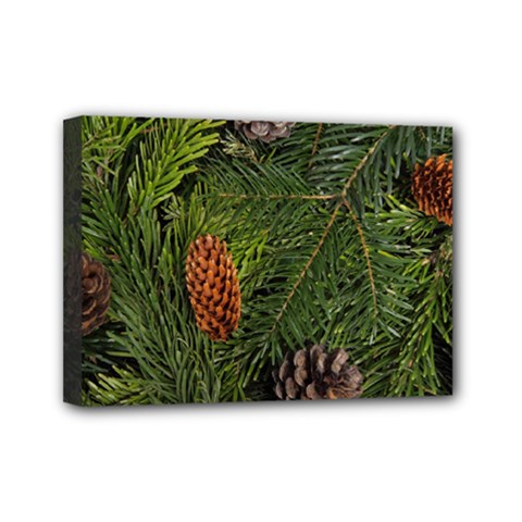 Branch Christmas Cone Evergreen Mini Canvas 7  X 5 