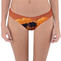 Trees Branches Sunset Sky Clouds Reversible Hipster Bikini Bottoms by Celenk