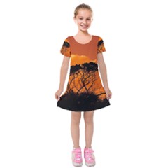 Trees Branches Sunset Sky Clouds Kids  Short Sleeve Velvet Dress by Celenk