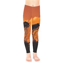 Trees Branches Sunset Sky Clouds Kids  Legging by Celenk