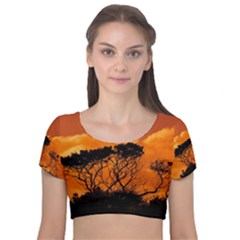 Trees Branches Sunset Sky Clouds Velvet Short Sleeve Crop Top  by Celenk