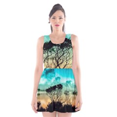 Trees Branches Branch Nature Scoop Neck Skater Dress by Celenk