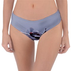 P-51 Mustang Flying Reversible Classic Bikini Bottoms by Ucco