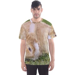 Beautiful Blue Eyed Bunny On Green Grass Men s Sports Mesh Tee