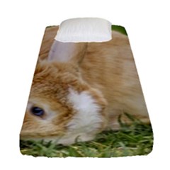 Beautiful Blue Eyed Bunny On Green Grass Fitted Sheet (single Size) by Ucco