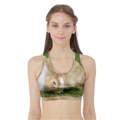 Beautiful Blue Eyed Bunny On Green Grass Sports Bra With Border