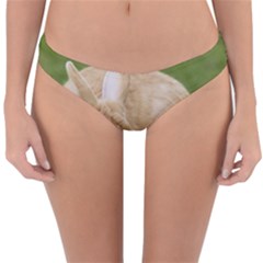 Beautiful Blue Eyed Bunny On Green Grass Reversible Hipster Bikini Bottoms by Ucco