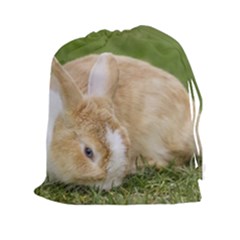 Beautiful Blue Eyed Bunny On Green Grass Drawstring Pouches (xxl)